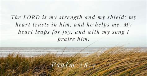 40+ Bible Verses About Strength - Encouraging Scriptures for Hope