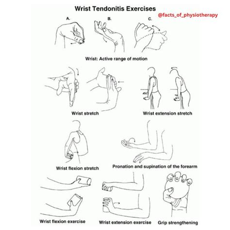 WRIST EXERCISES | Wrist exercises, Physio, Exercise