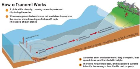 Earthquake Diagram Under The Water That Makes A Tsunami Wave