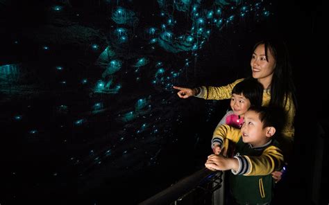 Book a Guided Tour of Waitomo Glowworm Caves