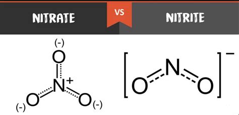 Nitrate Vs Nitrite