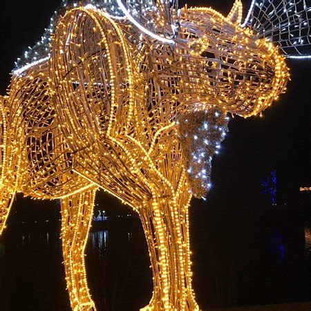 Winter Festival of Lights (Niagara Falls) - 2019 All You Need to Know ...