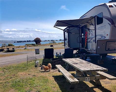 Guide to Camping in Bodega Bay - Sonoma County Tourism