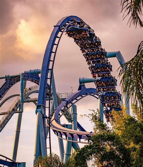 The best seaworld orlando rides – Artofit