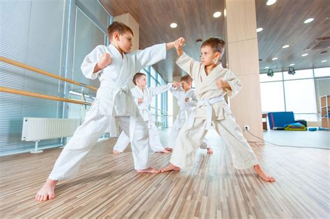 Successful Taekwondo (Korean Martial Arts) School | Transworld Business ...