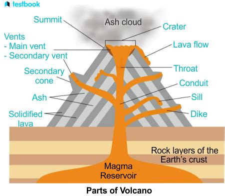 Shield Volcano: Definition, Examples, Diagram, Parts, Formation