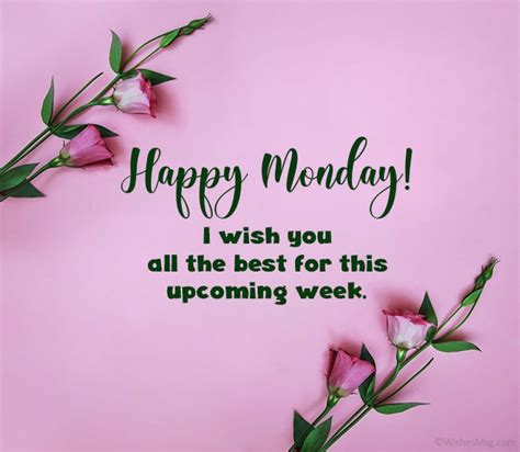 80+ Happy Monday Wishes, Messages and Quotes - WishesMsg (2024)