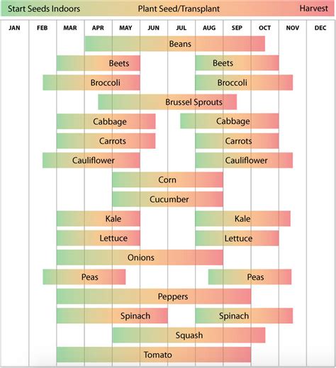 Printable Zone 6 Planting Schedule