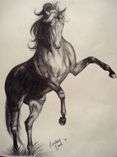 Pencil Drawings Of Horses Artwork - pencildrawing2019