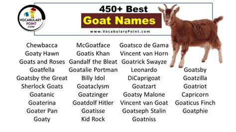 450+ Best Goat Names (Pet, Cute & Funny) - Vocabulary Point