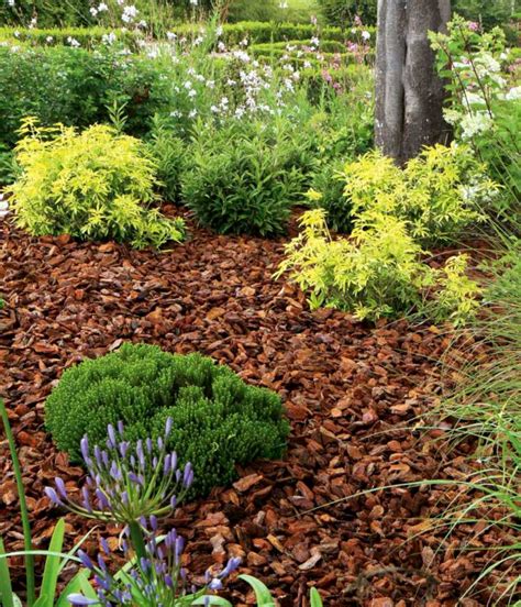 Mulching - why put mulch in a garden, and which is the best