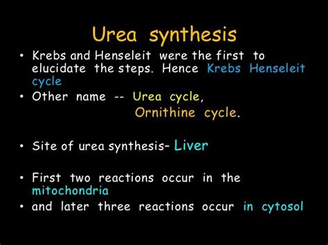 Urea synthesis