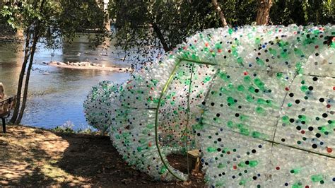 12,000 water bottles into art, bringing awareness west columbia | wltx.com