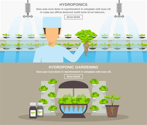 Hydroponics Poster