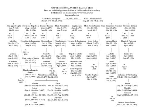 napoleon bonaparte family tree | Napoleon Bonaparte I & His Progeny ...