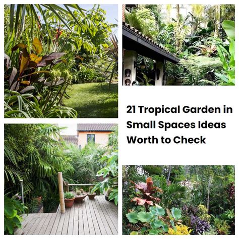 21 Tropical Garden in Small Spaces Ideas Worth to Check | SharonSable