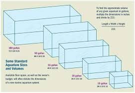 What Are The Dimensions Of 55 Gallon Aquarium - Aquarium Views