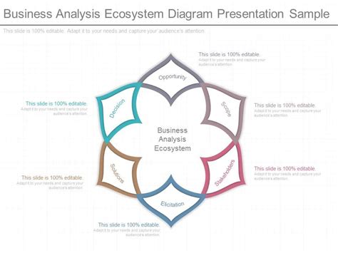 Business Analysis Ecosystem Diagram Presentation Sample