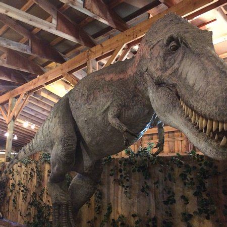 Dinosaur Museum (Rapid City) - 2019 All You Need to Know BEFORE You Go ...