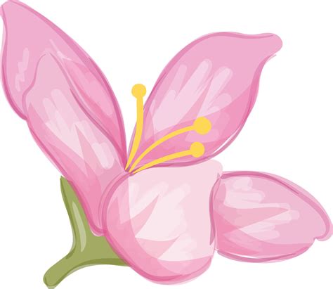 Watercolor Hand Drawn Flowers 21686255 Vector Art at Vecteezy