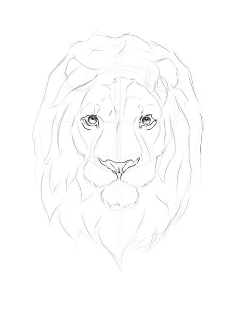 Lion Drawing Face