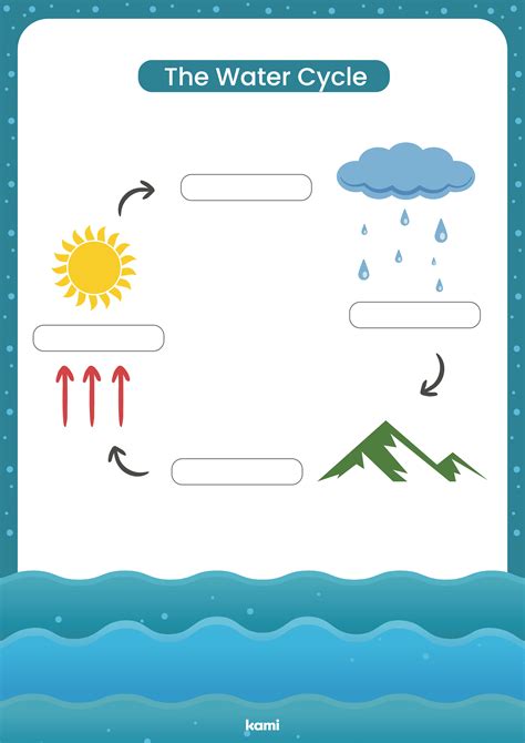 The Water Cycle Worksheet for Teachers | Perfect for grades 10th, 11th ...