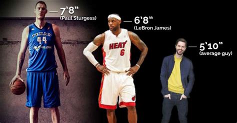 Top 10 All Time Tallest NBA Players - Sports Show