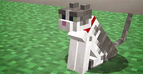 175 Minecraft Cat Names - The Ultimate Naming Guide