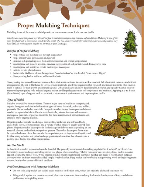 Proper Mulching Techniques