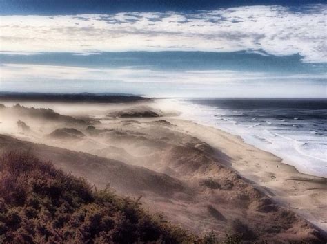 Florence dunes. Oregon. | Outdoor, Beach, Photography