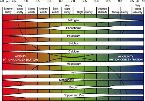 3 questions regarding soil and ph characteristics : r/botany