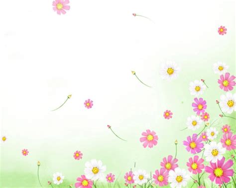 Floral Powerpoint Background Wallpaper 18103 - Baltana