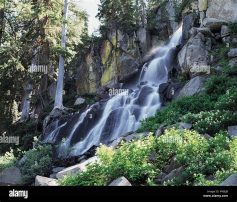 California, Sierra Nevada Mountains, Eldorado National Forest, A ...