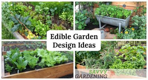 Edible Garden Design Ideas to Boost Production and Beautify your Space