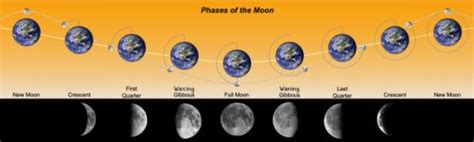 The Sun and the Earth-Moon System | Earth Science