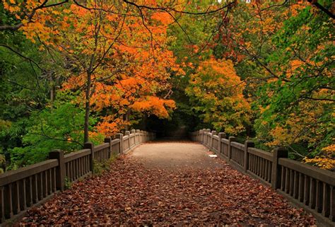 Autumn Bridge Wallpapers - Wallpaper Cave