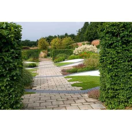 Marks Hall Gardens and Arboretum, Colchester