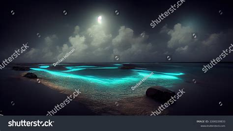 3d Illustration Bioluminescence Shore Maldives Stock Illustration ...