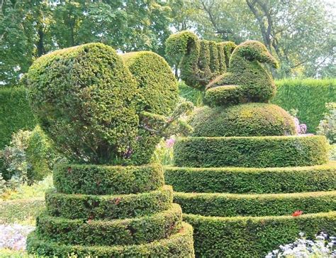 Topiary Art - Best Landscape Ideas