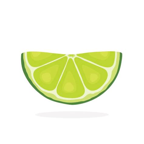 clip art lime 20 free Cliparts | Download images on Clipground 2024