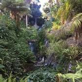 San Diego Botanic Garden - 703 Photos & 252 Reviews - Botanical Gardens ...