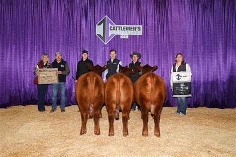 Cattlemen’s Congress Hosts Largest-Ever National Red Angus Open Show ...