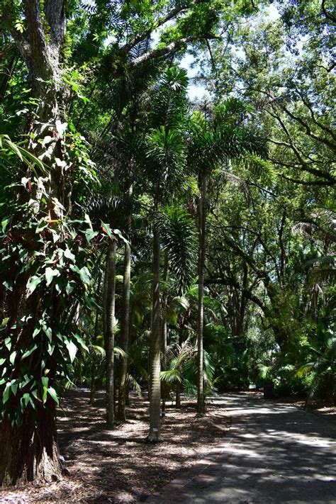 Orlando Botanical Gardens - TRAVEL LOGS - PalmTalk