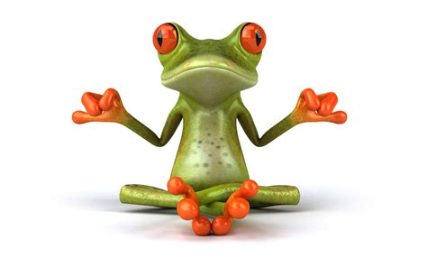 Funny Frog Wallpaper Desktop - WallpaperSafari