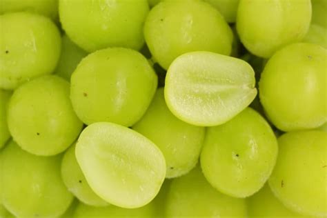 8 Kinds of Green Grapes - Minneopa Orchards