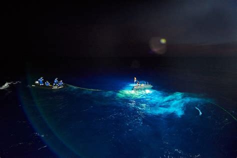 Expedition team makes record-breaking dive to bottom of Mariana Trench ...