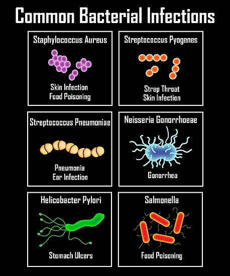 10 Most Common Bacterial Infections