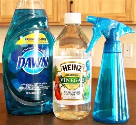 Shower Glass Cleaner Diy - Glass Designs