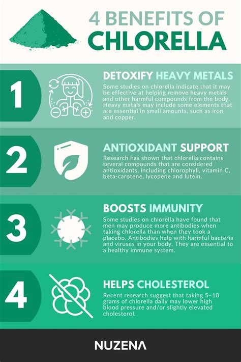 Chlorella Benefits, Uses, Dosage, and Side Effects | A Beginners Guide ...