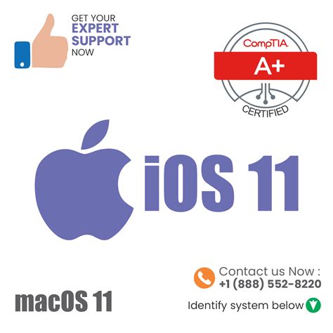 macOS 11 (Big Sur) – PC Tech Buildz